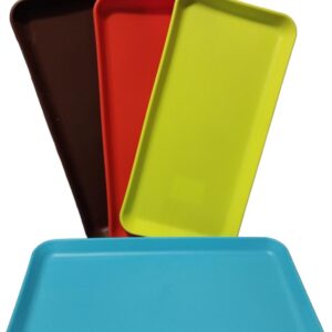 2 BANDEJA CHICA DE PLASTICO 30X15CM