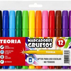 MARCADORES GRUESOS TEORIA X12