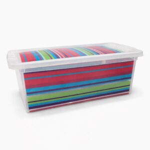 CAJA ORGANIZADORA PLASTICA CON TAPA